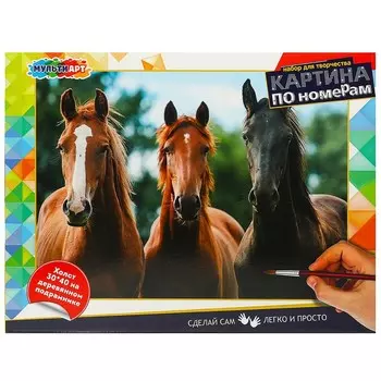 Набор для росписи холстов по контуру, по номерам МУЛЬТИ АРТ CANV30X40-MULTI51
