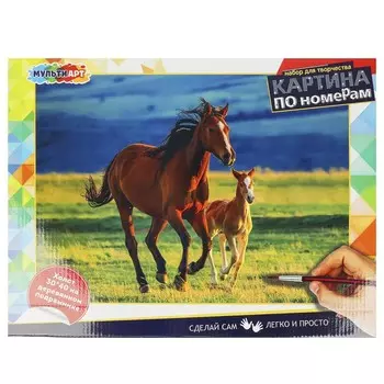 Набор для росписи холстов по контуру, по номерам МУЛЬТИ АРТ CANV30X40-MULTI19