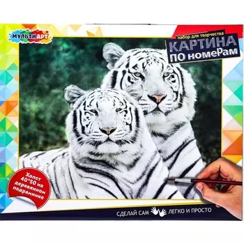 Набор для росписи холстов по контуру, по номерам МУЛЬТИ АРТ CANV40X50-WHITETIG
