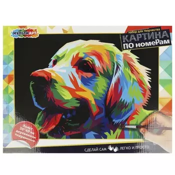 Набор для росписи холстов по контуру, по номерам МУЛЬТИ АРТ CANV30X40-BLACK