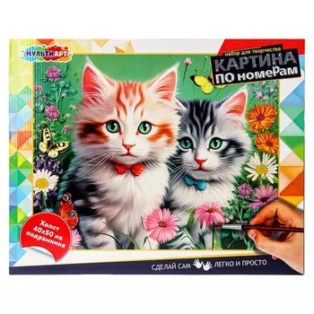 Набор для росписи холстов по контуру, по номерам МУЛЬТИ АРТ CANV40X50-115968