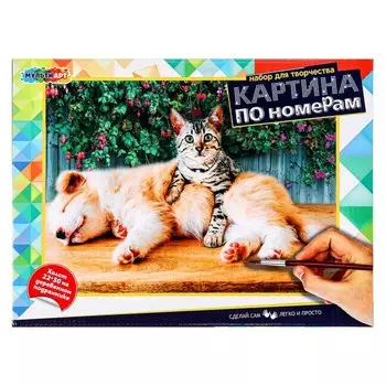 Набор для росписи холстов по контуру, по номерам МУЛЬТИ АРТ CANV22X30-CATDOG
