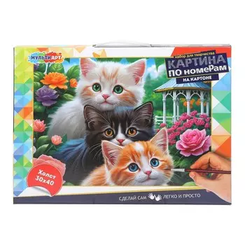 Набор для росписи холстов по контуру, по номерам МУЛЬТИ АРТ CANV30X40-CB-123975