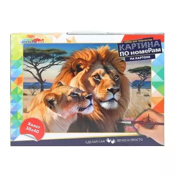Набор для росписи холстов по контуру, по номерам МУЛЬТИ АРТ CANV30X40-CB-123971
