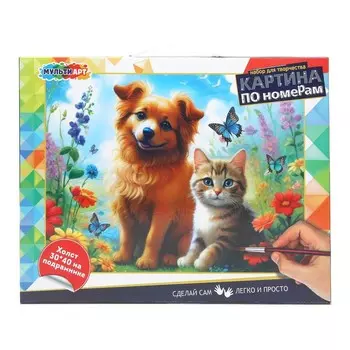 Набор для росписи холстов по контуру, по номерам МУЛЬТИ АРТ CANV30X40-115976