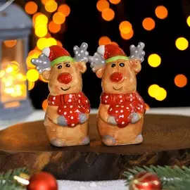 Набор для специй доляна