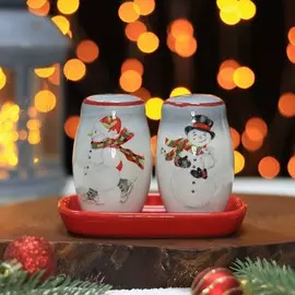 Набор для специй доляна