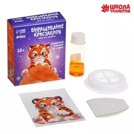 Набор для творчества