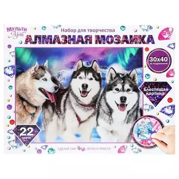 Набор для творчества (аппликация/мозаика) МУЛЬТИ АРТ AM30X40-HASKI
