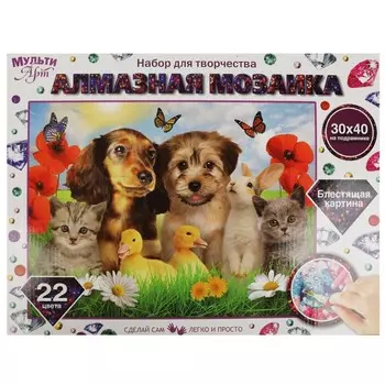 Набор для творчества (аппликация/мозаика) МУЛЬТИ АРТ AM30X40-KOL1