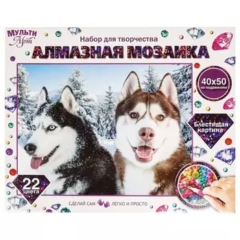 Набор для творчества (аппликация/мозаика) МУЛЬТИ АРТ AM40X50-HASKY