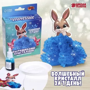 Выращивание кристаллов. опыты. лучистый кристалл