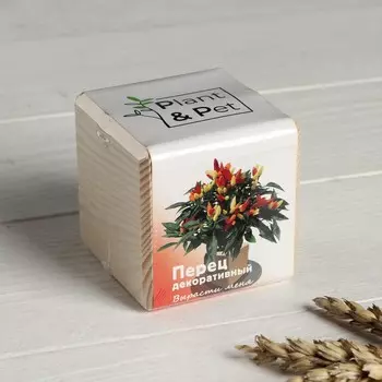 Набор для выращивания p&p