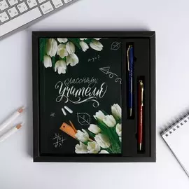 Набор ежедневник и 2 шт ручки