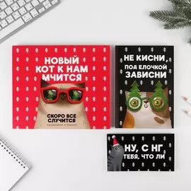 Набор: ежедневник и планинг