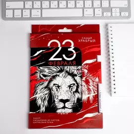 Набор: ежедневник и ручка