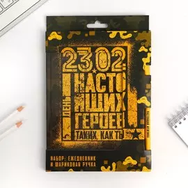 Набор: ежедневник и ручка