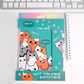 Набор: ежедневник и ручка