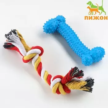 Набор игрушек для средних собак