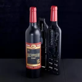Подарочный набор инструментов в бутылке