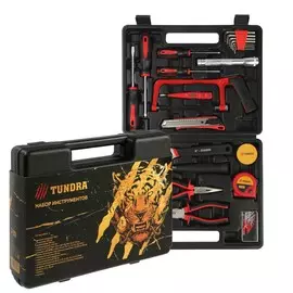 Набор инструментов в кейсе tundra