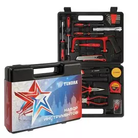 Набор инструментов в кейсе tundra