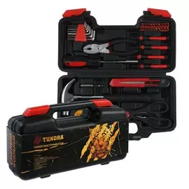Набор инструментов в кейсе tundra