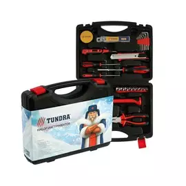 Набор инструментов в кейсе tundra