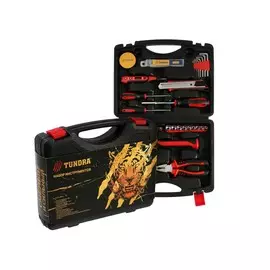 Набор инструментов в кейсе tundra