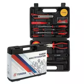 Набор инструментов в кейсе tundra