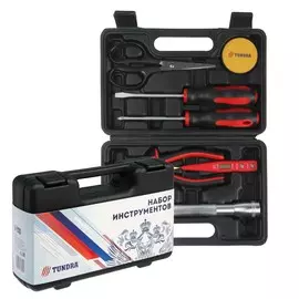Набор инструментов в кейсе tundra