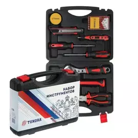 Набор инструментов в кейсе tundra