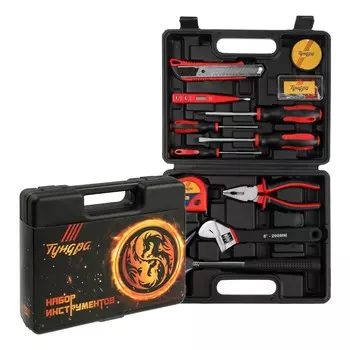 Набор инструментов в кейсе тундра