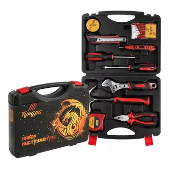 Набор инструментов в кейсе тундра