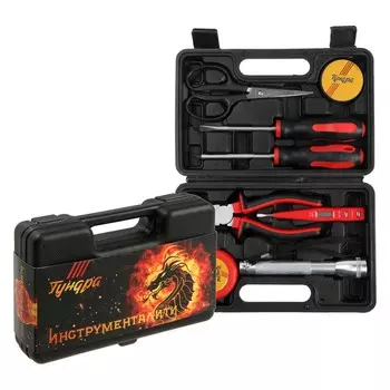 Набор инструментов в кейсе тундра