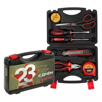 Набор инструментов в кейсе тундра