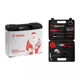 Набор инструментов в кейсе tundra
