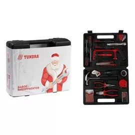 Набор инструментов в кейсе tundra