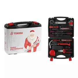 Набор инструментов в кейсе tundra