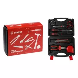 Набор инструментов в кейсе tundra