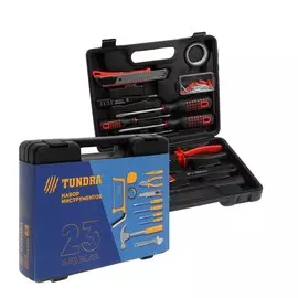 Набор инструментов в кейсе tundra