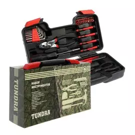 Набор инструментов в кейсе tundra, подарочная упаковка, универсальный, 39 предметов