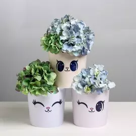 Набор кашпо 3 в 1