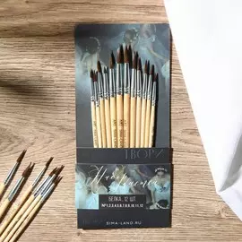 Кисть для рисования набор 12 шт. белка