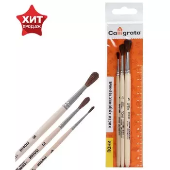Набор кистей пони 3 штуки, calligrata №1 (круглые №: 1, 3, 5), деревянная ручка