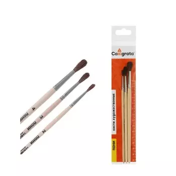 Набор кистей пони 3 штуки, calligrata №2 (круглые №: 2, 3, 4), деревянная ручка