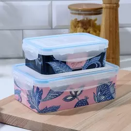 Набор контейнеров