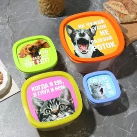 Набор контейнеров