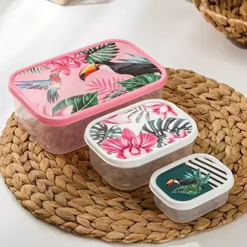 Набор контейнеров пищевых доляна