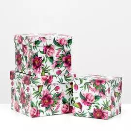 Набор коробок 3 в 1,